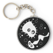 Bacteria