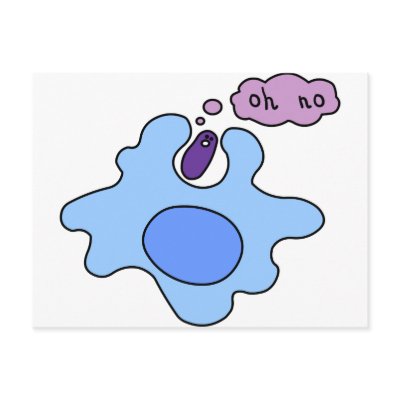 Bacteria Phagocytosis Post Cards by SuperBug