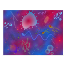 Bacteria Postcard