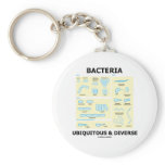 Bacteria Ubiquitous & Diverse (Shapes & Sizes)