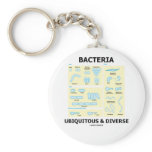 Bacteria Ubiquitous & Diverse (Shapes & Sizes)