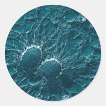 Bacterial cells of Staphylococcus Aureus Close Up Round Sticker