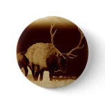 bad 2 the bone button