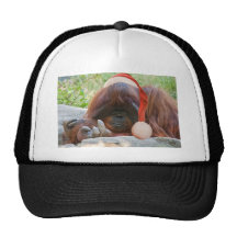Bad Ape Santa Mesh Hats