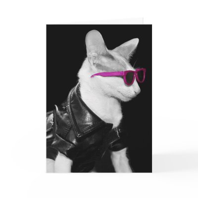 Bad Boy Cat in Shades Greeting Cards by knichols1109