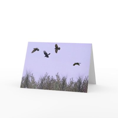 Bad Boys Ravens by Bluestar48