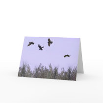 Bad Boys Ravens