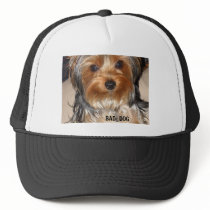 Bad Dog