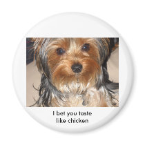 Bad Dog