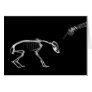 Bad Dog X-Ray Skeleton in Black & White