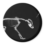 Bad Dog X-Ray Skeleton in Black & White