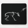 Bad Dog X-Ray Skeleton in Black & White