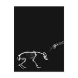 Bad Dog X-Ray Skeleton in Black & White
