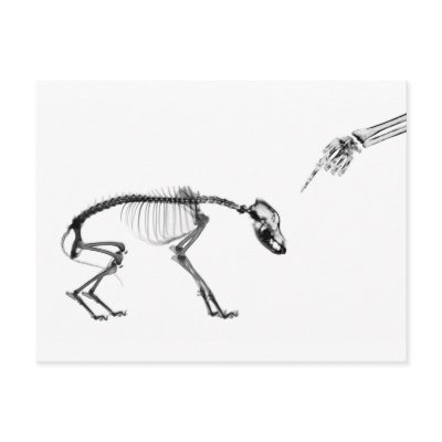 Bad Dog X-Ray Skeleton in Black & White by VoXeeD