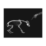 Bad Dog X-Ray Skeleton in Black & White
