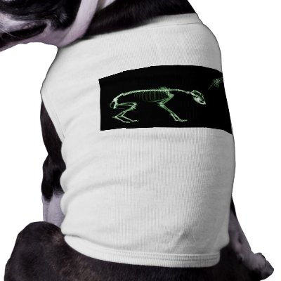Bad Dog X-ray Skeleton in Green by VoXeeD