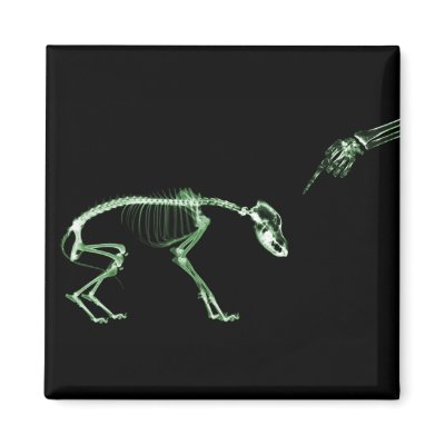 Bad Dog X-ray Skeleton in Green by VoXeeD