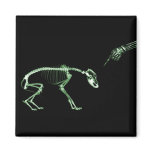 Bad Dog X-ray Skeleton in Green
