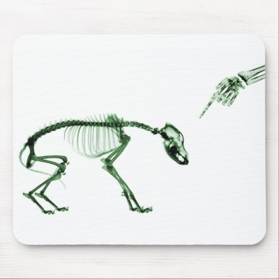 Bad Dog X-ray Skeleton in Green by VoXeeD