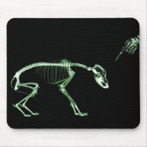 Bad Dog X-ray Skeleton in Green