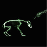 Bad Dog X-ray Skeleton in Green photo sculptures