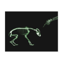 Bad Dog X-ray Skeleton in Green