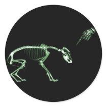 Bad Dog X-ray Skeleton in Green