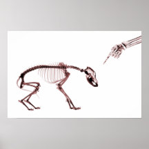 Bad Dog X-ray Skeleton White Red Poster
