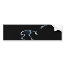 Bad Dog Xray Skeleton Black Blue Bumper Sticker