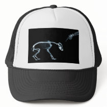 Bad Dog Xray Skeleton Black Blue Trucker Hats