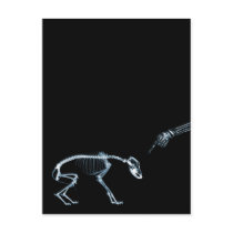 Bad Dog Xray Skeleton Black Blue Postcard
