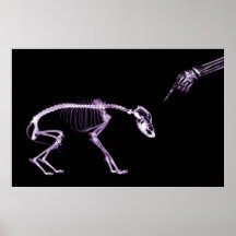 Bad Dog Xray Skeleton Black Purple Print