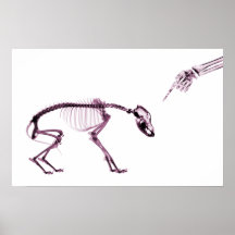 Bad Dog Xray Skeleton White Pink Posters