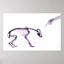 Bad Dog Xray Skeleton White Purple Print