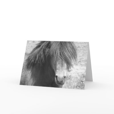 Bad Hair Day! by CatMac Card by perfectgifts8