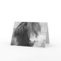 Bad Hair Day! by CatMac cards