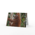Bad Hair Day cards