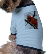 Bad hair day dog t-shirt