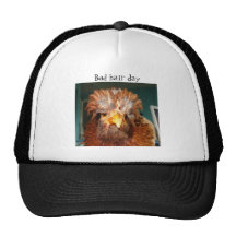 Bad hair day hat