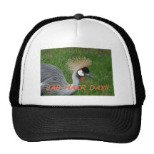 bad hair day hat