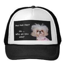 Bad Hair Day? Hats