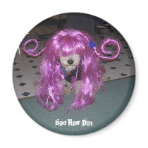 Bad Hair Day Fridge Magnets