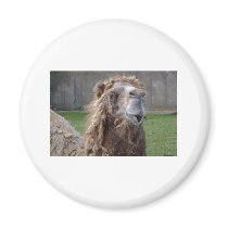 Bad Hair Day Magnet