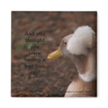 Bad Hair Day Magnet