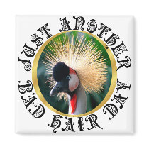 Bad hair day!