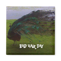 BAD HAIR DAY FRIDGE MAGNETS