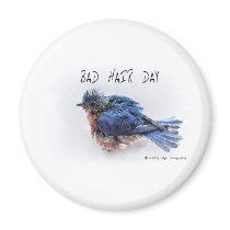 Bad Hair Day