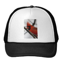 Bad hair day mesh hat