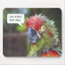 Bad Hair Day Mousepad