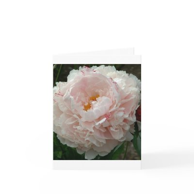 Bad hair day note greeting card by CHOLOEPUS